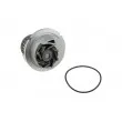 TEKNÖR CPW-PL-029 - Pompe à eau