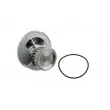 TEKNÖR CPW-PL-029 - Pompe à eau