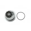 TEKNÖR CPW-PL-029 - Pompe à eau