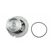TEKNÖR CPW-PL-029 - Pompe à eau
