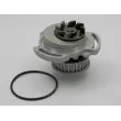TEKNÖR CPW-VW-015 - Pompe à eau
