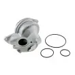 TEKNÖR CPW-VW-040 - Pompe à eau