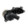 TEKNÖR CTM-AU-001 - Thermostat d'eau