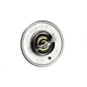 Thermostat d'eau SAMAXX OEM 38-09-908