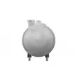 TEKNÖR CZW-PE-000 - Vase d'expansion, liquide de refroidissement