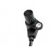 TEKNÖR ECP-DW-000 - Capteur d'angle, vilebrequin