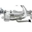 SAMAXX EGR-VW-021A - Radiateur, réaspiration des gaz d'échappement