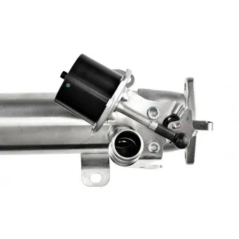 Refroidisseur EGR Audi A3 Sportback 1.9 TDI 105 CV Diesel 77 KW 2004 - 2010 BXE | Prix Dans AUTODOC