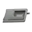 TEKNÖR EZC-VW-094 - Poignet de porte, équipment intérieur avant gauche 