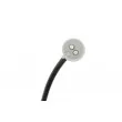 TEKNÖR HCA-AR-011 - Capteur, vitesse de roue avant droit 