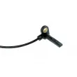 TEKNÖR HCA-CH-038 - Capteur, vitesse de roue avant droit 