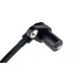 TEKNÖR HCA-MS-031 - Capteur, vitesse de roue avant droit 
