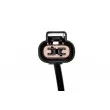 TEKNÖR HCA-MS-067 - Capteur, vitesse de roue avant droit 