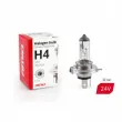 AMIO 01267 - Ampoule halogène H4 24V 70 / 75W filtre UV (E4)