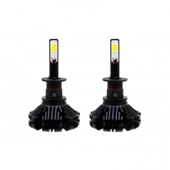 Jeu de 2 ampoules LED Série H1 CX 2018 AMIO 01072