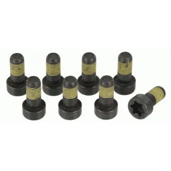 Visserie, volant moteur SACHS OEM 8507622