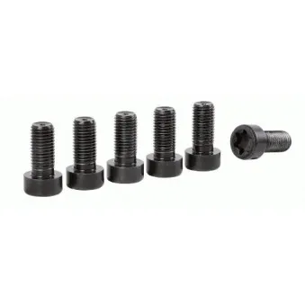 Jeu de boulons, coupleur SACHS OEM 7520706