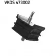 SKF VKDS 473002 - Suspension, corps de l'essieu