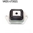 Suspension, corps de l'essieu SKF [VKDS 473021]