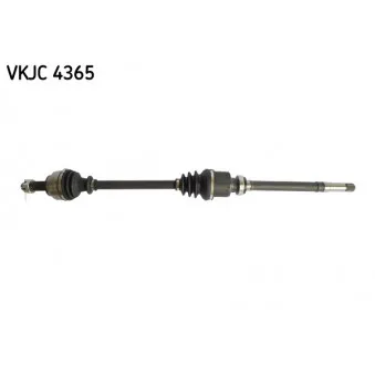 SKF VKJC 4365 - Arbre de transmission