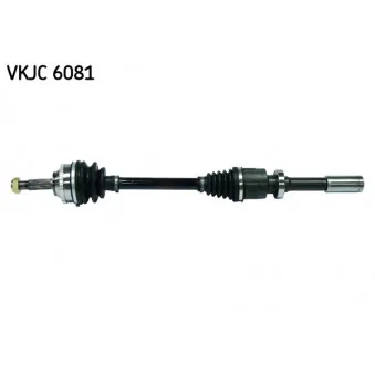 SKF VKJC 6081 - Arbre de transmission