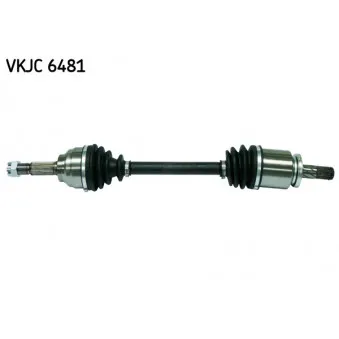 Arbre de transmission SKF OEM 3910170N00
