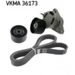 SKF VKMA 36173 - Jeu de courroies trapézoïdales à nervures