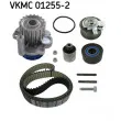 Pompe à eau + kit de courroie de distribution SKF [VKMC 01255-2]