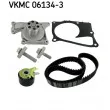 Pompe à eau + kit de courroie de distribution SKF [VKMC 06134-3]
