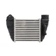 THERMOTEC DAA017TT - Intercooler, échangeur