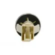 BLIC 5403-01-3003011P - Feu clignotant