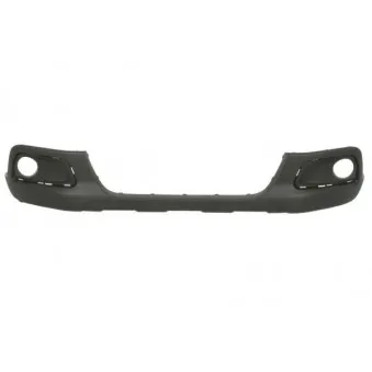 Spoiler BLIC 5511-00-5516220Q