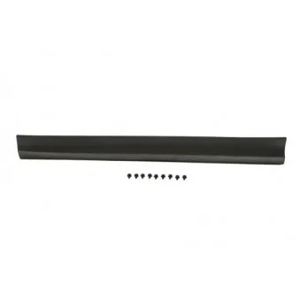 Baguette et bande protectrice, porte avant gauche BLIC 5703-02-6738491P