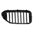 BLIC 6502-07-0068995P - Grille de radiateur