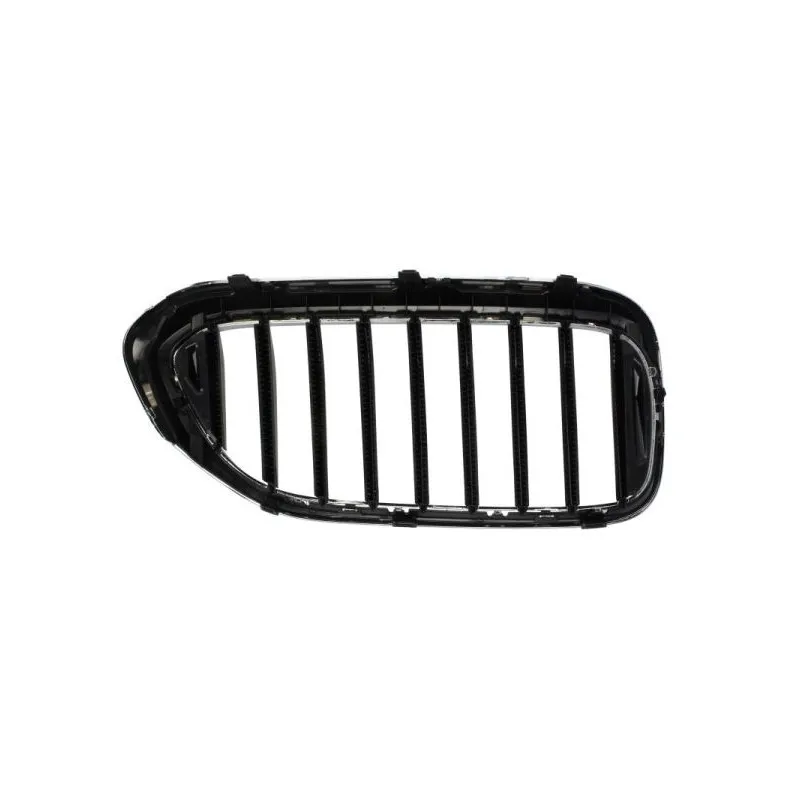 Grille de radiateur BLIC 6502-07-0068995P - Visuel 1