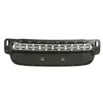 Grille de radiateur BLIC 6502-07-0532991P