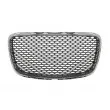 BLIC 6502-07-0939992P - Grille de radiateur