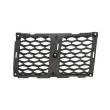 BLIC 6502-07-3207993P - Grille de radiateur avant gauche 