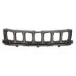 Grille de radiateur BLIC [6502-07-3217991P]