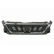BLIC 6502-07-6623991P - Grille de radiateur