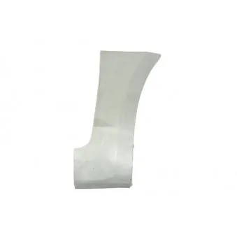 Doublure d'aile avant droit BLIC 6504-03-2534332P