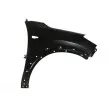 Aile avant droit BLIC [6504-04-3177314P]