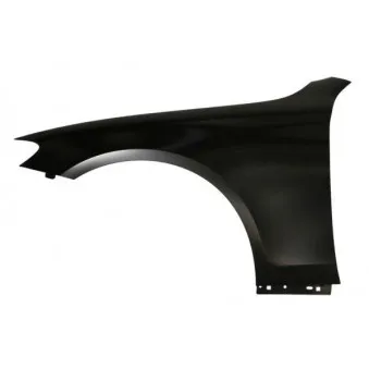 Aile avant droit BLIC 6504-04-3531318P