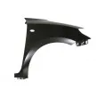 Aile avant droit BLIC [6504-04-6816314P]