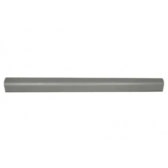 Plaque de seuil avant droit BLIC 6505-06-0536018P