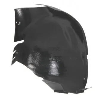 Passage de roue avant gauche BLIC 6601-01-5507817P