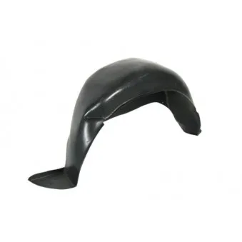 Passage de roue arrière droit BLIC 6601-01-5507834P