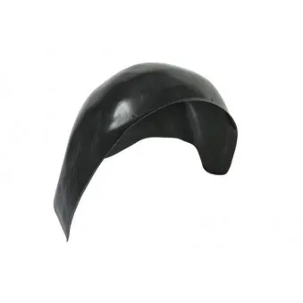 Passage de roue arrière droit BLIC 6601-01-5535832P