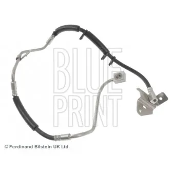 BLUE PRINT ADA105317 - Flexible de frein