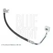 BLUE PRINT ADA105321 - Flexible de frein